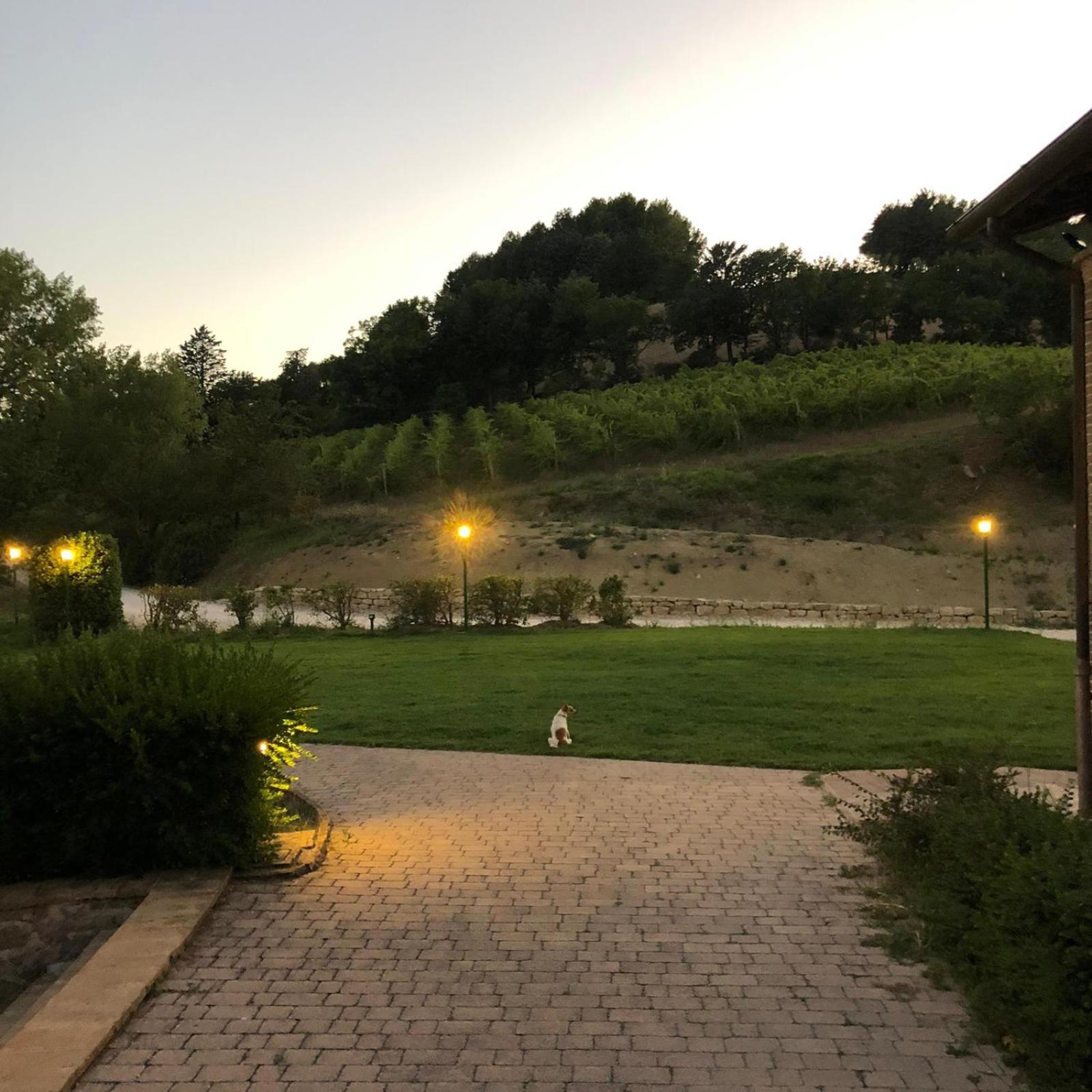 Re Artu Assisi Country Lifestyle Aparthotel Kültér fotó